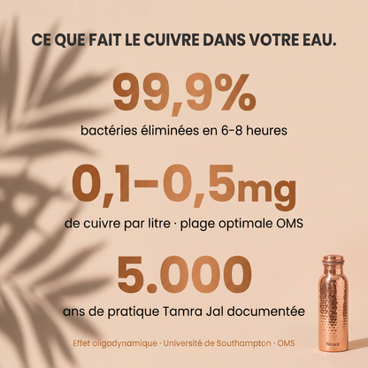 Bouteille en cuivre Niravir — L'eau qui se purifie toute seule